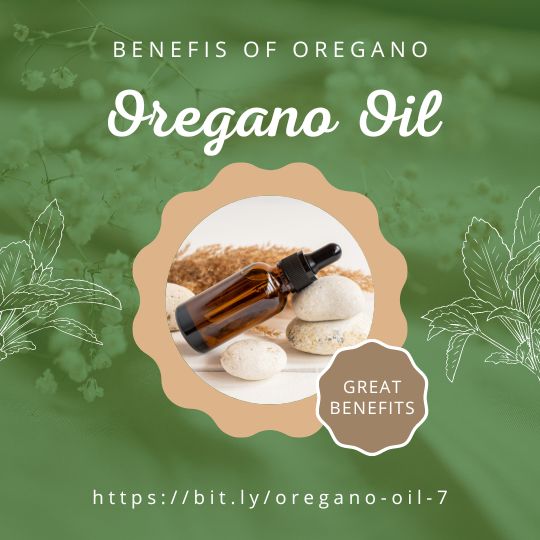 Benefits Oregano Oil Natural Essential Oil Products. Better Living Plus org