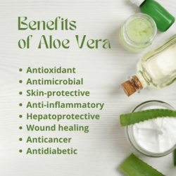 Aloe Vera Gel - Benefit From Aloe Vera - Health Products